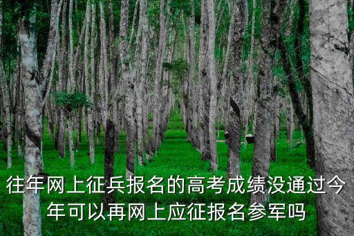 往年網(wǎng)上征兵報名的高考成績沒通過今年可以再網(wǎng)上應征報名參軍嗎