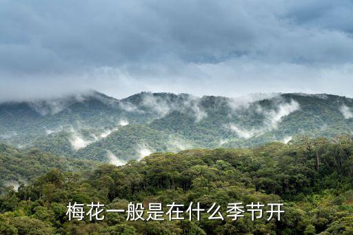 梅花一般是在什么季節開