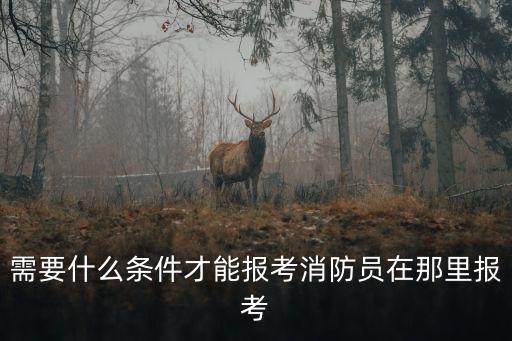 需要什么條件才能報考消防員在那里報考