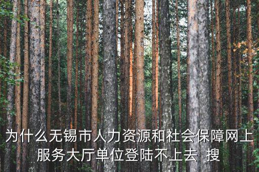 社會保障網(wǎng)上服務(wù)大廳，為什么無錫市人力資源和社會保障網(wǎng)上服務(wù)大廳單位登陸不上去  搜