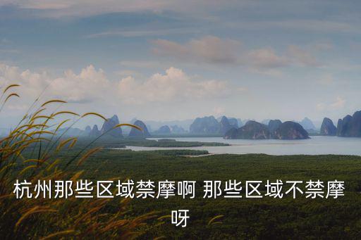 杭州禁摩區域，2022年杭州禁摩嗎