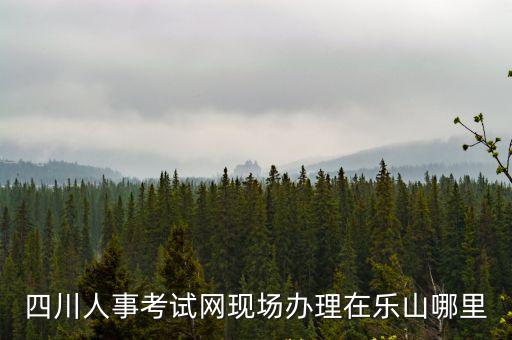 四川人事考試網現場辦理在樂山哪里