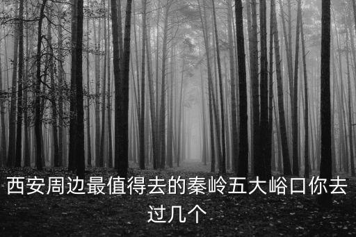 西安周邊最值得去的秦嶺五大峪口你去過幾個