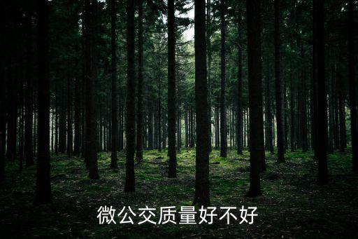 微公交質量好不好