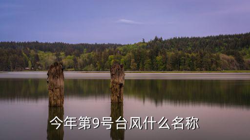 今年第9號臺風什么名稱