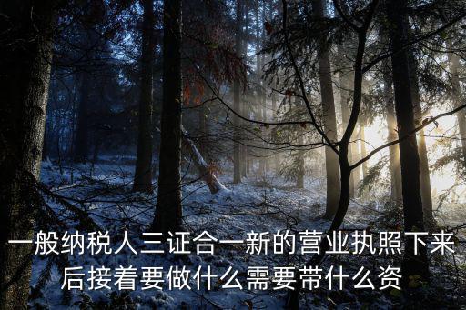 三證合一后的營業執照，三證合一后的營業執照號碼是哪個