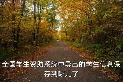 全國(guó)學(xué)生資助系統(tǒng)中導(dǎo)出的學(xué)生信息保存到哪兒了