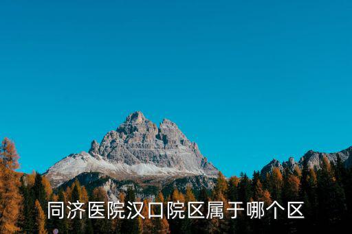 同濟醫院漢口院區屬于哪個區