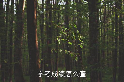 學考成績怎么查