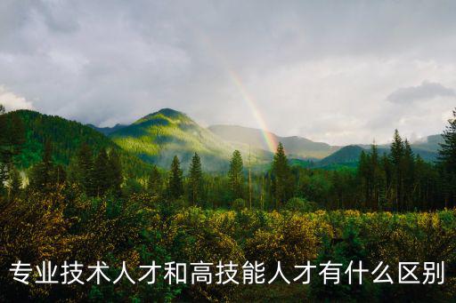 專業技術人才和高技能人才有什么區別
