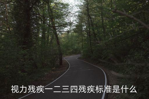 視力殘疾一二三四殘疾標(biāo)準(zhǔn)是什么