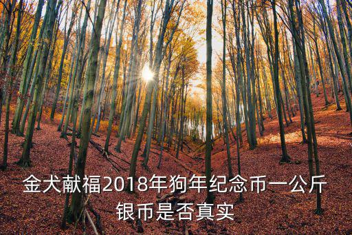 金犬獻(xiàn)福2018年狗年紀(jì)念幣一公斤銀幣是否真實(shí)