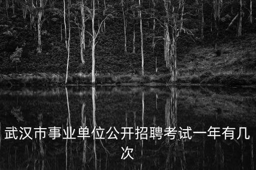 武漢市事業(yè)單位，武漢市事業(yè)單位公開招聘考試一年有幾次