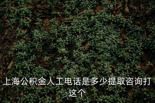 上海公積金中心，上海公積金中心咨詢電話是多少