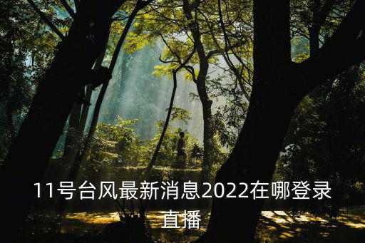 11號臺風最新消息2022在哪登錄直播