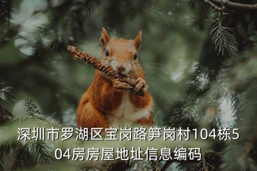 深圳市羅湖區寶崗路筍崗村104棟504房房屋地址信息編碼