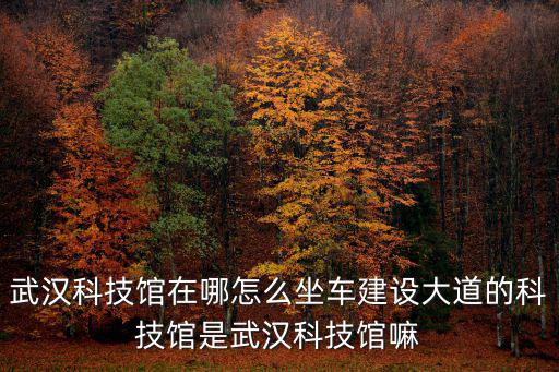 武漢科技館，武漢科技館一次可以進多少人