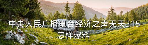 中央人民廣播電臺經(jīng)濟(jì)之聲天天315怎樣爆料