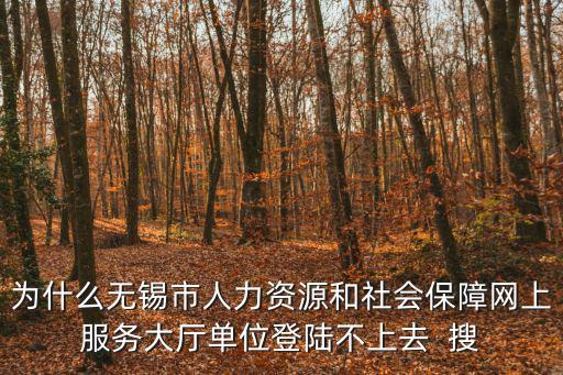 為什么無錫市人力資源和社會保障網上服務大廳單位登陸不上去  搜