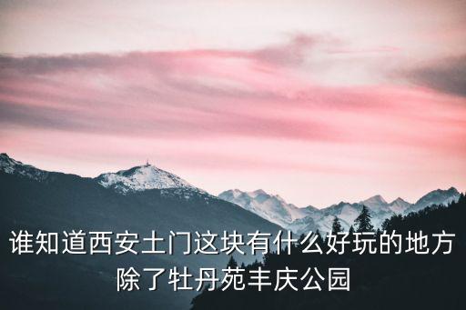 西安土門，西安土門在哪里