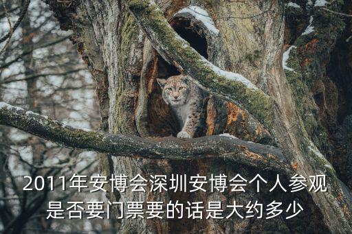 2011年安博會深圳安博會個人參觀是否要門票要的話是大約多少