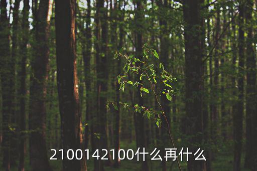 2100142100什么再什么