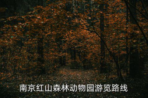 南京紅山森林動物園，南京紅山森林動物園游覽路線
