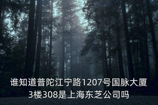 誰知道普陀江寧路1207號國脈大廈3樓308是上海東芝公司嗎