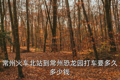 北環小黑，常州火車北站到常州恐龍園打車要多久多少錢