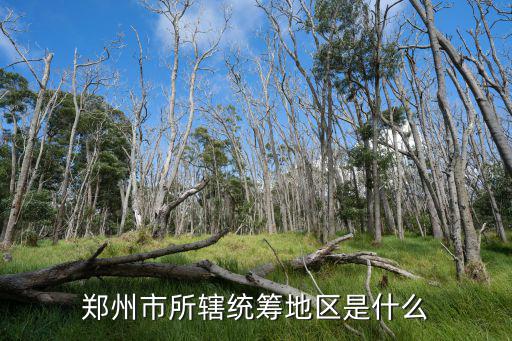 鄭州市所轄統籌地區是什么