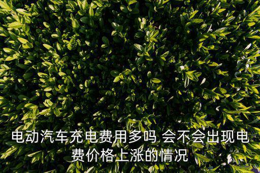 電動(dòng)汽車充電費(fèi)用多嗎 會(huì)不會(huì)出現(xiàn)電費(fèi)價(jià)格上漲的情況