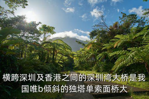 深圳灣公路大橋，深圳灣大橋設計者是急急