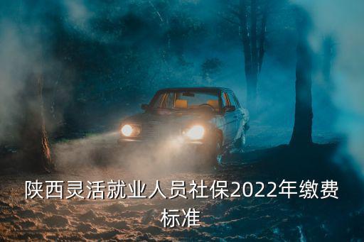 陜西靈活就業人員社保2022年繳費標準