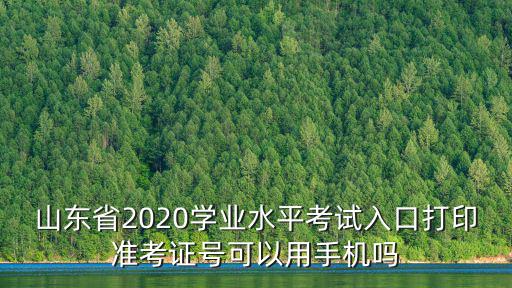 山東省學業水平考試，山東省學業水平考試短信驗證碼忘了怎么辦