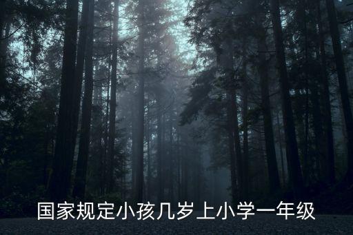 幾歲上小學(xué)一年級(jí)，國(guó)家規(guī)定小孩幾歲上小學(xué)一年級(jí)