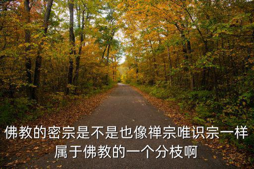 唯識宗，唯識宗的八識是哪八識