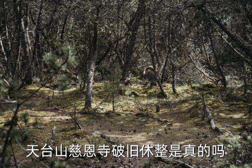 浙江天臺山慈恩寺，浙江省天臺山慈恩寺怎么樣