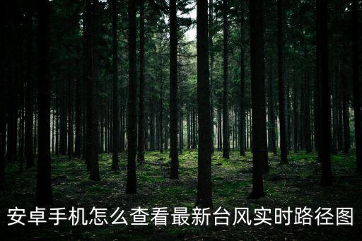 最新實時臺風路徑，臺風路徑實時發布系統徃后丕有幾個臺風