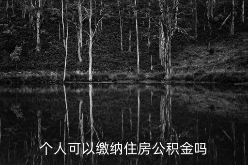個人可以繳納住房公積金嗎