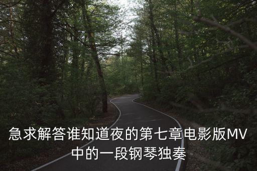 急求解答誰知道夜的第七章電影版MV中的一段鋼琴獨奏