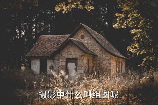 攝影中什么叫組圖呢