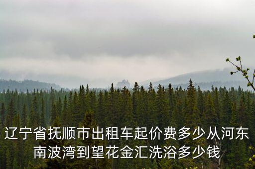 遼寧省撫順市出租車起價費多少從河東南波灣到望花金匯洗浴多少錢