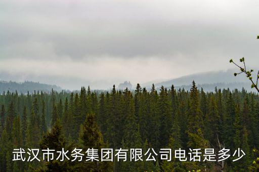 水務集團電話，武漢市水務集團有限公司電話是多少
