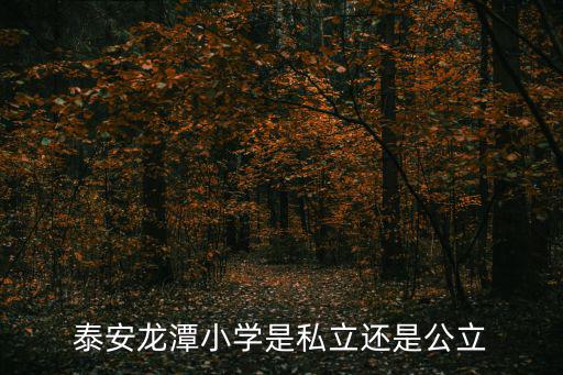 龍潭小學，泰安龍潭小學是私立還是公立