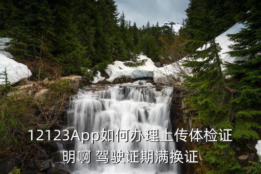 12123App如何辦理上傳體檢證明啊 駕駛證期滿換證