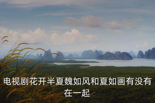 電視劇花開半夏魏如風和夏如畫有沒有在一起