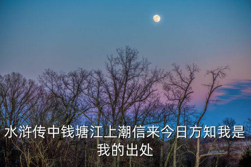 水滸傳中錢塘江上潮信來今日方知我是我的出處