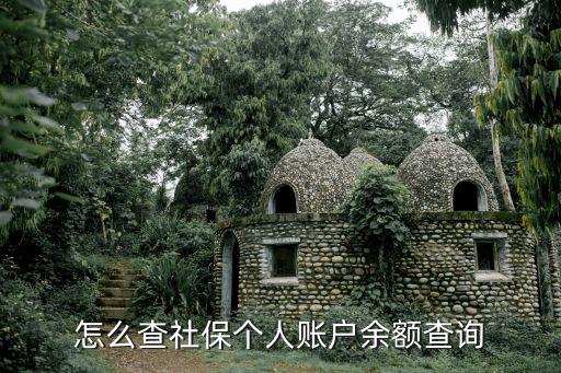 怎么查社保個人賬戶余額查詢