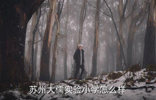 蘇州實(shí)驗(yàn)小學(xué)，蘇州大儒實(shí)驗(yàn)小學(xué)怎么樣