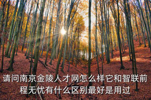 請問南京金陵人才網怎么樣它和智聯前程無憂有什么區(qū)別最好是用過